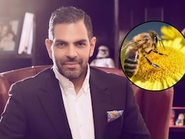 Sunjay Kapur death : तोंडात मधमाशी गेल्याने कसा झाला मृत्यू? अशा प्रसंगी स्वत:चा बचाव कसा कराल?  Sunjay Kapur death : तोंडात मधमाशी गेल्याने कसा झाला मृत्यू? अशा प्रसंगी स्वत:चा बचाव कसा कराल?