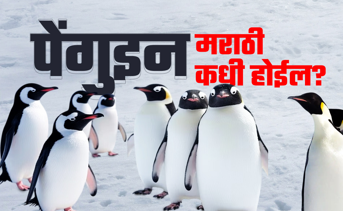 महाराष्ट्र में दो पेंगुइन के नामों को लेकर क्यों हो रहा है बवाल, यहां जानें
