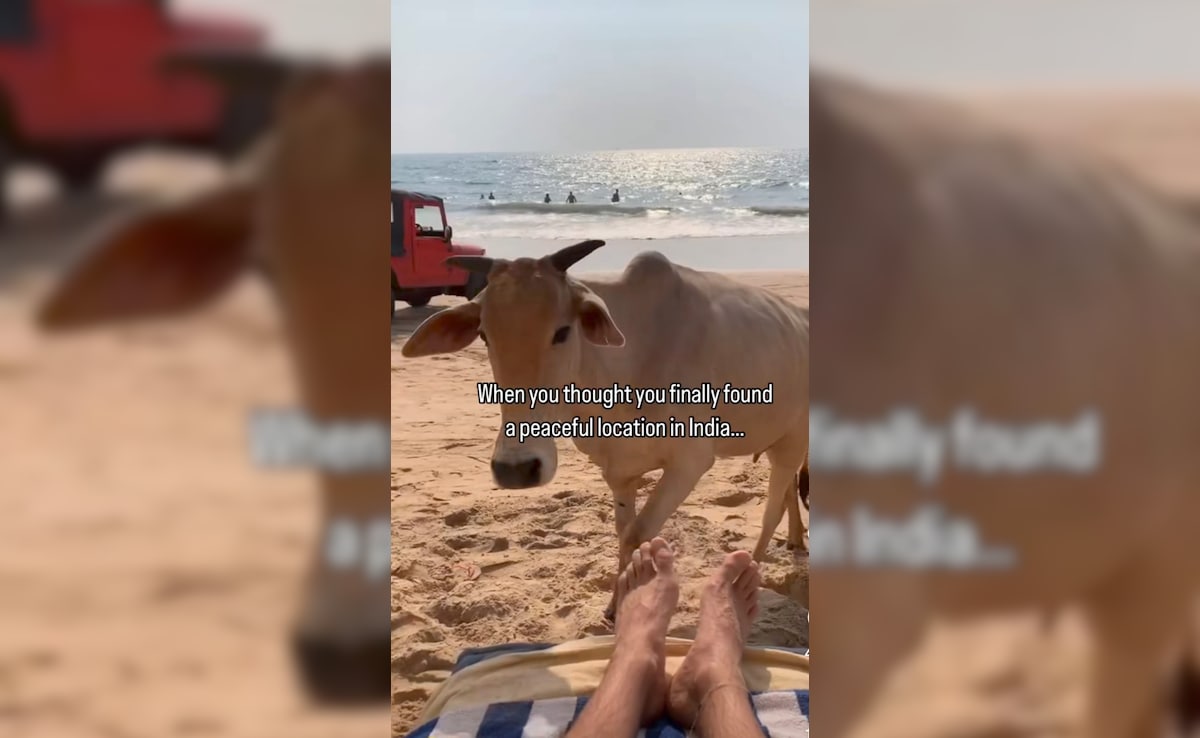 Когато пътувате всеки ден носи нова история а понякога