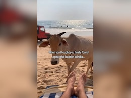 Watch: Australian Vlogger's Beach Day In India Takes A Hilarious Turn Watch: Australian Vlogger's Beach Day In India Takes A Hilarious Turn
