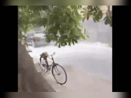 Shocking Video : तरुण रक्ताच्या थारोळ्यात, थारची मागून जोरदार धडक; नराधम चालकाचं संतापजनक कृत्य Shocking Video : तरुण रक्ताच्या थारोळ्यात, थारची मागून जोरदार धडक; नराधम चालकाचं संतापजनक कृत्य