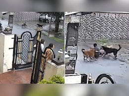 खेलते वक्त 8 साल के बच्चे पर टूट पड़े 4 आवारा कुत्ते, एक ने पकड़ा, तो दूसरों ने गिराया, CCTV फुटेज देख कांप उठेंगे