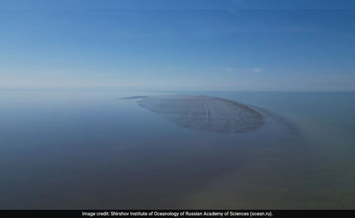 showquick чете Резюмето е генерирано от AI рецензирана новина Руските