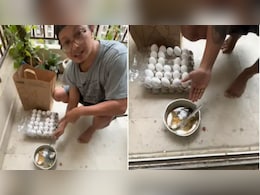 Blinkit से ऑर्डर किए अंडों की मिनटों में हुई डिलीवरी, फोड़कर देखा तो बाहर निकली काली-काली चीज Blinkit से ऑर्डर किए अंडों की मिनटों में हुई डिलीवरी, फोड़कर देखा तो बाहर निकली काली-काली चीज