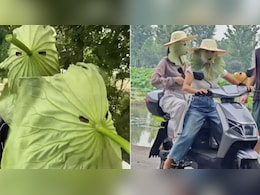 कमल के पत्तों से बना ये चाइनीज फेस मास्क हुआ वायरल, जानिए वजह कमल के पत्तों से बना ये चाइनीज फेस मास्क हुआ वायरल, जानिए वजह