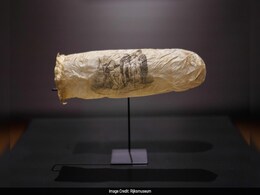 Nearly 200-Year-Old Condom With Erotic Painting Goes On Display At Dutch Museum Nearly 200-Year-Old Condom With Erotic Painting Goes On Display At Dutch Museum
