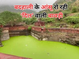 Rajasthan: भाद्राजून की 'दिल' वाली बावड़ी अपनी बदहाली पर बहा रही है आंसू ,कचरे और गंदगी का बन गई है घर