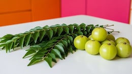 How Amla And Curry Leaves Can Give You Long Black Hair You Have Been Desiring