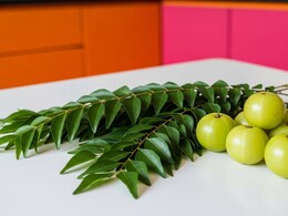 How Amla And Curry Leaves Can Give You Long Black Hair You Have Been Desiring How Amla And Curry Leaves Can Give You Long Black Hair You Have Been Desiring