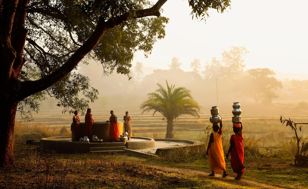 Latest and Breaking News on NDTV Latest and Breaking News on NDTV