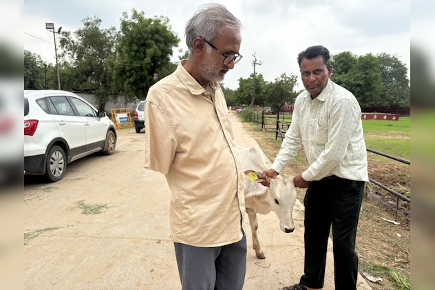 गोशाला प्रबंधक पवन कमरा का कहना है कि कैग की रिपोर्ट का जवाब हम लिखित में दे रहे हैं.” गोशाला प्रबंधक पवन कमरा का कहना है कि कैग की रिपोर्ट का जवाब हम लिखित में दे रहे हैं.”