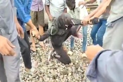 Video: Woman Drives Car On Railway Tracks, Cops Struggle To Pull Her Out Video: Woman Drives Car On Railway Tracks, Cops Struggle To Pull Her Out