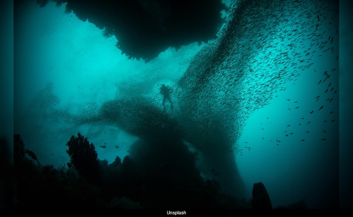 Showquick Read Резюмето е генерирано от AI рецензирана новина Изследователи