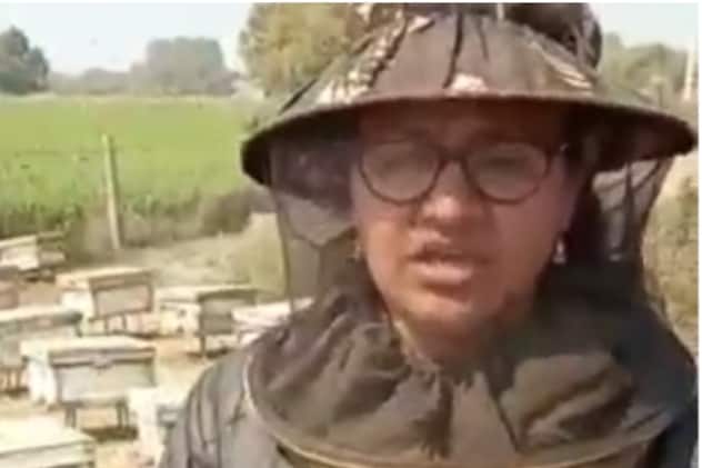 नीमच में मधुमक्खी पालन बिजनेस के लिए पति को श्रेय देती हुईं केके धाकड़ की पत्नी मिनाक्षी का पुराना वीडियो.  नीमच में मधुमक्खी पालन बिजनेस के लिए पति को श्रेय देती हुईं केके धाकड़ की पत्नी मिनाक्षी का पुराना वीडियो.