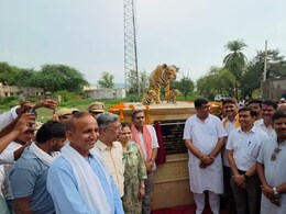 Rajasthan: कौन है सरिस्का की राजमाता, जिसकी याद में लगाया स्टैच्यू Rajasthan: कौन है सरिस्का की राजमाता, जिसकी याद में लगाया स्टैच्यू
