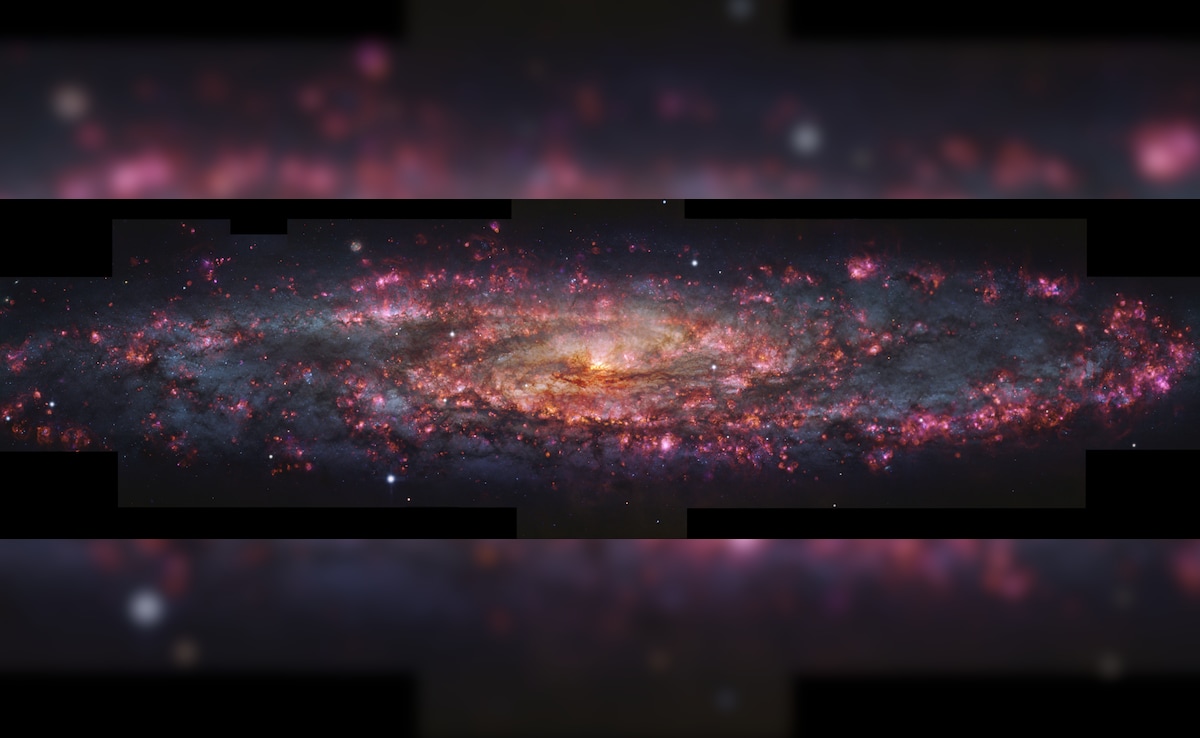 Latest and Breaking News on NDTV