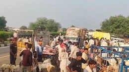 Rajasthan:महवा की बकरा मंडी बनी सिरदर्द, NH-21 पर ट्रैफिक जाम जैसे हालात, रेंग-रेंग कर चलने को मजबूर हैं वाहन
