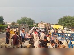 Rajasthan:महवा की बकरा मंडी बनी सिरदर्द, NH-21 पर ट्रैफिक जाम जैसे हालात, रेंग-रेंग कर चलने को मजबूर हैं वाहन