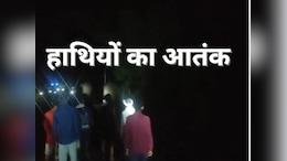 Elephants Attack : गांव में देर रात घुसा जंगली हाथियों का झुंड, घर में जमकर की तोड़फोड़; दहशत का माहौल