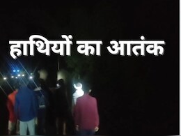 Elephants Attack : गांव में देर रात घुसा जंगली हाथियों का झुंड, घर में जमकर की तोड़फोड़; दहशत का माहौल Elephants Attack : गांव में देर रात घुसा जंगली हाथियों का झुंड, घर में जमकर की तोड़फोड़; दहशत का माहौल