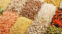 Rajasthan: कृषि विभाग की चेतावनी, अब किराने की दुकान पर बीज बेचना बंद; दोषियों पर होगी सख्त कार्रवाई&nbsp;