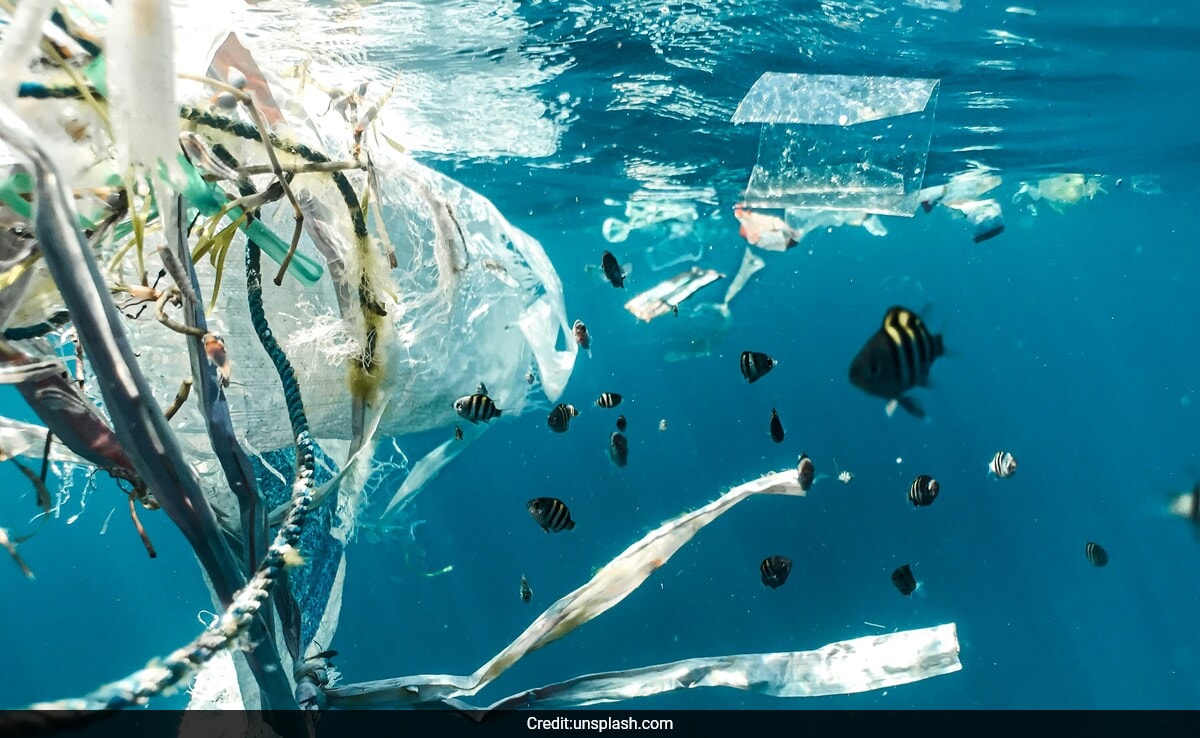 Нашите океани са в затруднение Уловът от много от световния