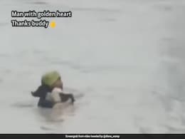 Viral Video: Manipur Man Risks Life To Save Drowning Dog, Internet Calls Him "Brave Soul" Viral Video: Manipur Man Risks Life To Save Drowning Dog, Internet Calls Him "Brave Soul"