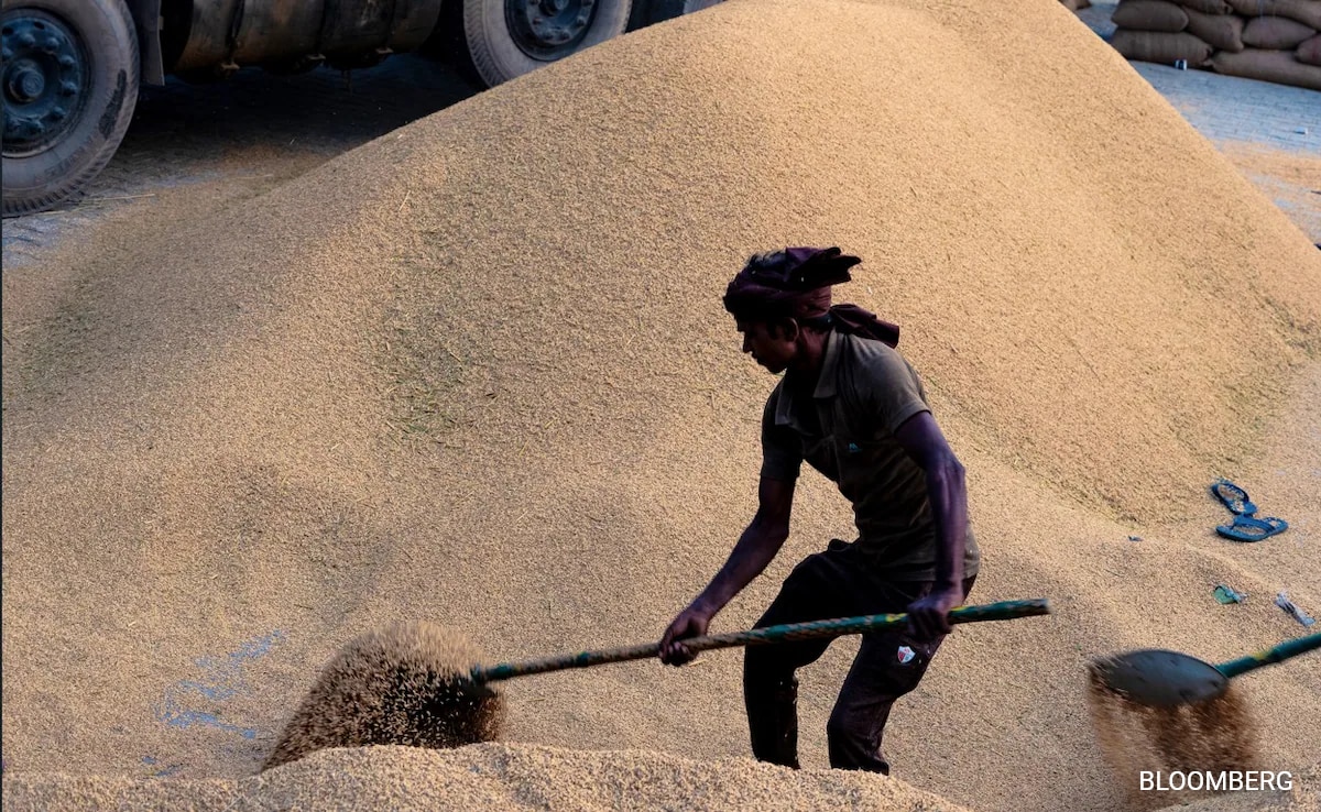 Индийският скривалище на ориза работи най високо за това време