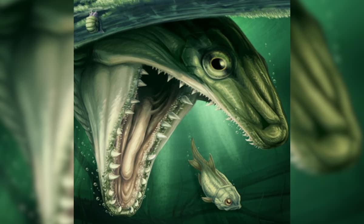 A Chance Discovery Of A 350 Million-Year-Old Fossil Reveals New Type Of Fish