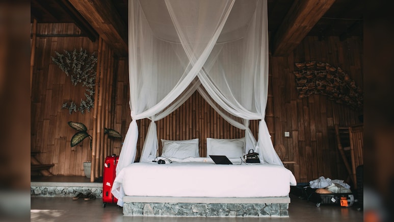 बारिश के मौसम में अब मच्छरों को कहिए टाटा! बेहद कम प्राइस में खरीदें ये शानदार मच्छरदानी बारिश के मौसम में अब मच्छरों को कहिए टाटा! बेहद कम प्राइस में खरीदें ये शानदार मच्छरदानी