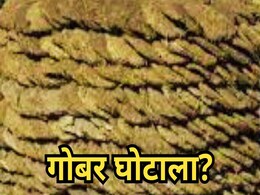 एमपी में सामने आया गोबर घोटाला, गोशाला के खाते में सालभर बाद भी नहीं डाले गए नीलामी के पैसे एमपी में सामने आया गोबर घोटाला, गोशाला के खाते में सालभर बाद भी नहीं डाले गए नीलामी के पैसे