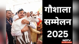 Gaushala Sammelan 2025: गौ-पालक और गौशालाओं के लिए बड़ी सौगात; सीएम यादव करेंगे सीधा संवाद, 90 करोड़ रुपये का भुगतान