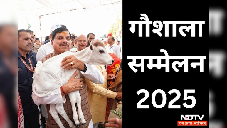Gaushala Sammelan 2025: गौ-पालक और गौशालाओं के लिए बड़ी सौगात; सीएम यादव करेंगे सीधा संवाद, 90 करोड़ रुपये का भुगतान Gaushala Sammelan 2025: गौ-पालक और गौशालाओं के लिए बड़ी सौगात; सीएम यादव करेंगे सीधा संवाद, 90 करोड़ रुपये का भुगतान