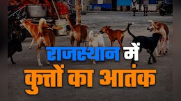Rajasthan: सालभर में 4 लाख लोगों को कुत्तों ने बनाया शिकार, हर दिन 1100 मामले, 87 हजार वैक्सीन की डिमांड
