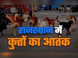 Rajasthan: सालभर में 4 लाख लोगों को कुत्तों ने बनाया शिकार, हर दिन 1100 मामले, 87 हजार वैक्सीन की डिमांड Rajasthan: सालभर में 4 लाख लोगों को कुत्तों ने बनाया शिकार, हर दिन 1100 मामले, 87 हजार वैक्सीन की डिमांड