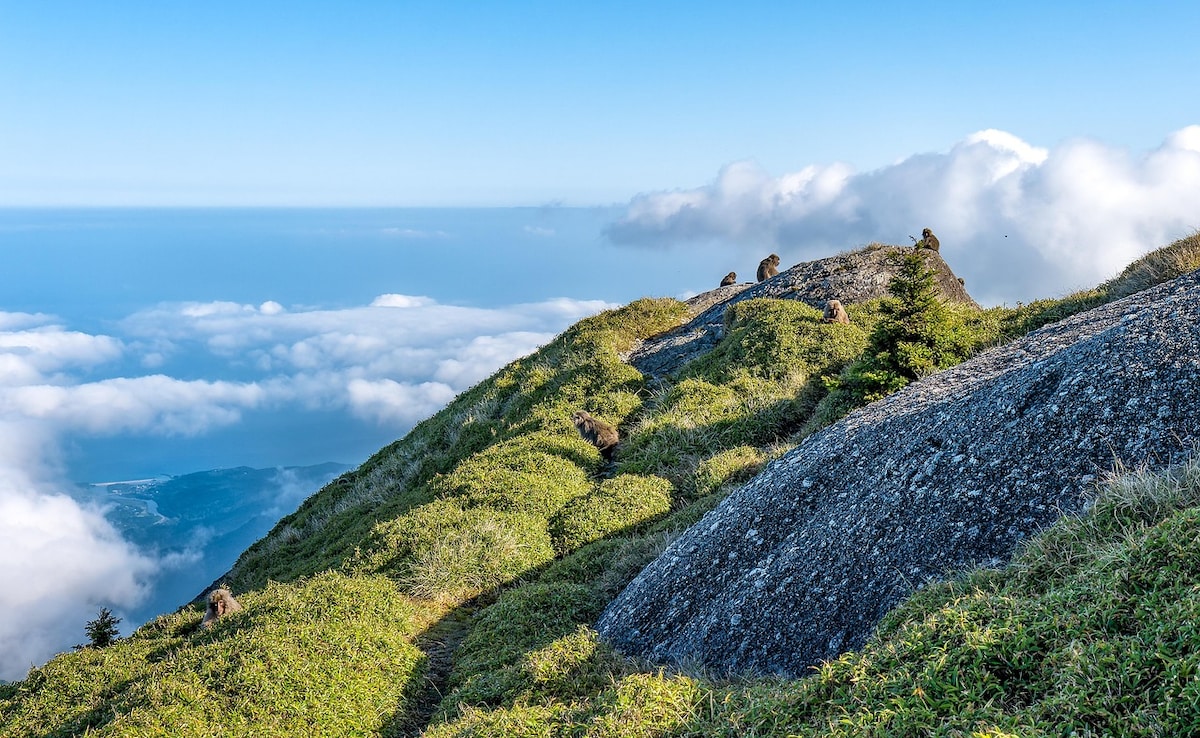 showquick read Резюмето е генерирано от AI рецензирана новина Разгледайте