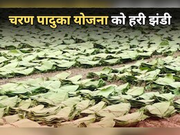 Good News: छत्तीसगढ़ में फिर शुरू होगी चरण पादुका योजना, सीएम साय ने दिया बड़ा तोहफा