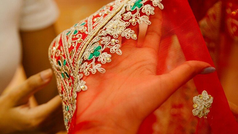 वेडिंग फंक्‍शन में भी पहनी जा सकती है Organza साड़ी, स्‍टाइल और एलिगेंस देगी एक साथ
