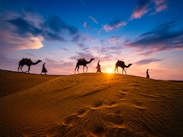 Jaisalmer Travel Guide: Explore Rajasthan's Golden City Like A Local Jaisalmer Travel Guide: Explore Rajasthan's Golden City Like A Local