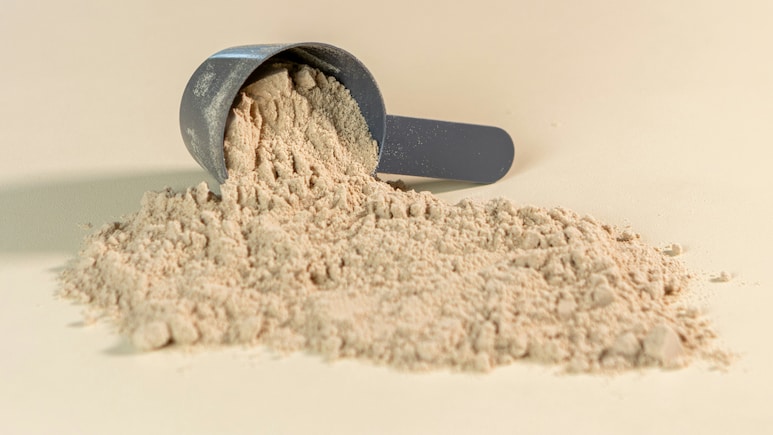बचेंगे हजारों रुपये, सीख लें घर पर व्हे प्रोटीन बनाने का तरीका | Ghar Par Whey Protein Kaise Banaen बचेंगे हजारों रुपये, सीख लें घर पर व्हे प्रोटीन बनाने का तरीका | Ghar Par Whey Protein Kaise Banaen