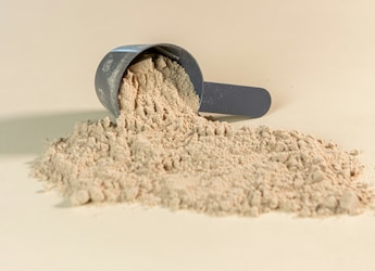 Plant Protein Vs Animal Protein: Which One Offers More Nutrition