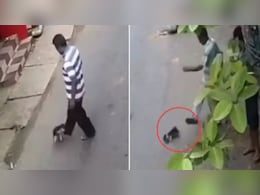 Puppy को बेरहमी से लात मारते शख्स को देख भड़का राहगीर, बीच सड़क सिखाया ऐसा सबक, लोग बोले- अब आ गई होगी अक्ल ठिकाने Puppy को बेरहमी से लात मारते शख्स को देख भड़का राहगीर, बीच सड़क सिखाया ऐसा सबक, लोग बोले- अब आ गई होगी अक्ल ठिकाने