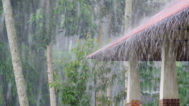 Rain Alert : शनिवार पावसाचा! मुंबईसह ठाण्यात आज अतिमुसळधार 