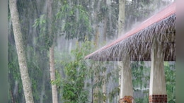 Rain News: राज्यात पुढील 24 तासासाठी 'या' जिल्ह्यांमध्ये रेड अलर्ट, तर मुंबईसह काही जिल्ह्यांना ऑरेंज अलर्ट