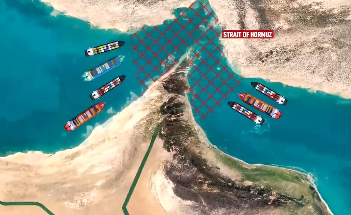 The Art of Baking: From Classic Bread to Artisan Pastries