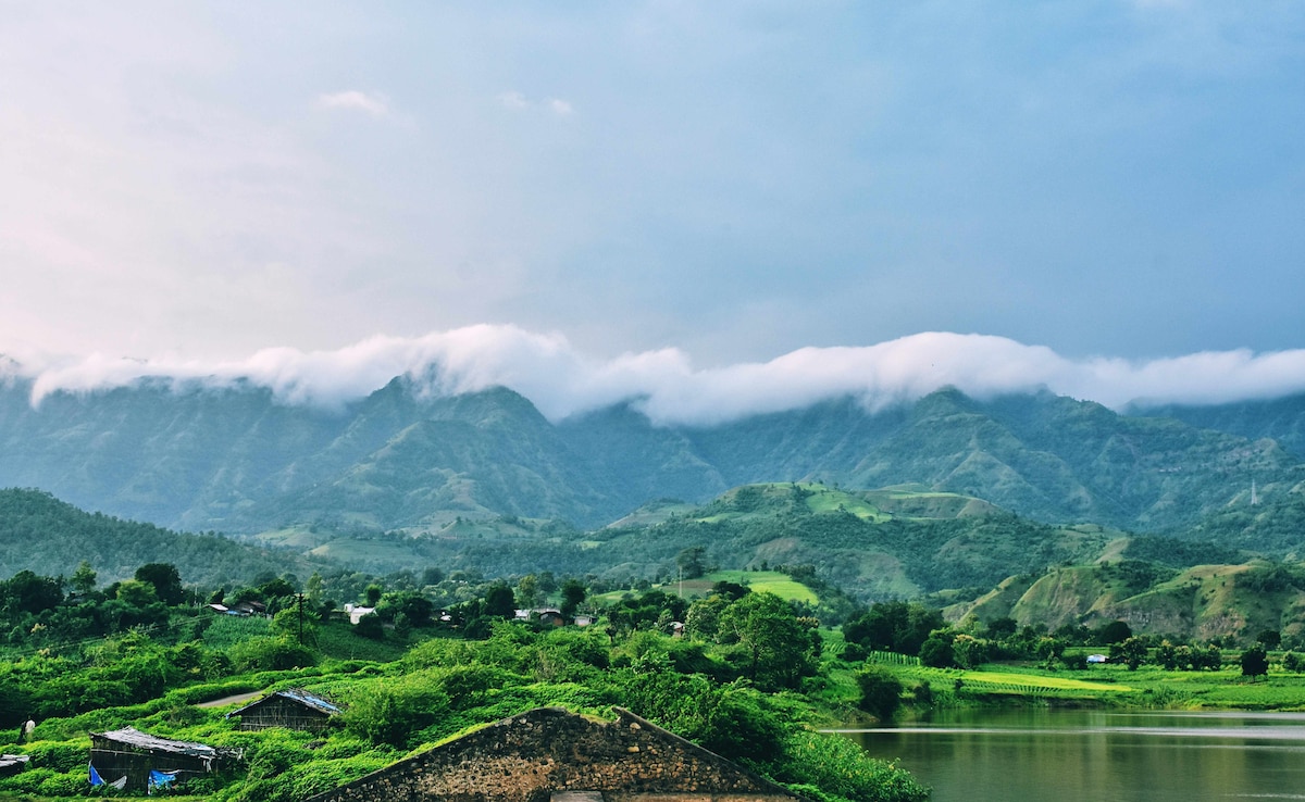 Photo: Unsplash Photo: Unsplash