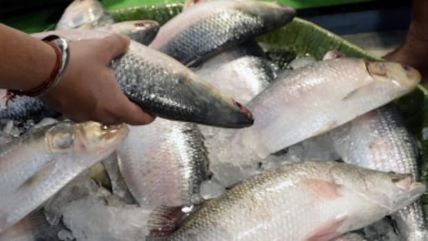 Latest and Breaking News on NDTV Latest and Breaking News on NDTV