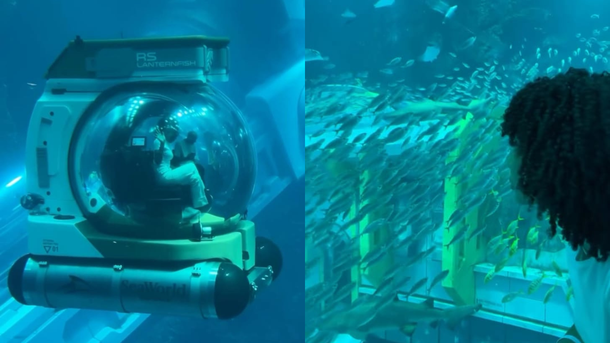 An Immersive Underwater Journey: What It's Like To Ride In The World's First Aquarium Submersible