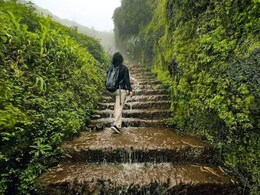 Monsoon Trip : डोंगर..धुकं... अन् कडक चहा! पुण्याजवळच्या आणि कमी गर्दीच्या जबरदस्त Monsoon Places