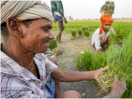 Rajasthan Rains: राजस्थान में मानसूनी बारिश से किसानों के चेहरे खिले, समय से होगी खरीफ फसल की बुवाई Rajasthan Rains: राजस्थान में मानसूनी बारिश से किसानों के चेहरे खिले, समय से होगी खरीफ फसल की बुवाई